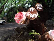 महाराष्ट्र: आरे जंगल की जगह मुंबई के कांजुरमार्ग में बनेगा मेट्रो कार शेड, उद्धव सरकार ने लिया फैसला