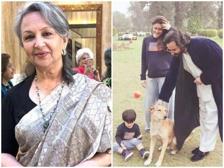 For this reason sharmila Tagore has not met Saif Ali Khan and Kareena Kapoor's new born चौथी बार दादी बनकर काफी खुश हैं Sharmila Tagore, लेकिन अब तक नहीं की पटौदी परिवार के नए सदस्य से मुलाकात, ये है कारण