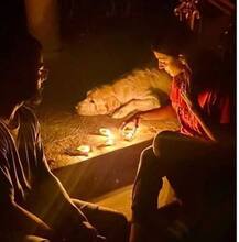 हाथों में दीए लिए उम्मीद की रोशनी ढूंढते दिखे कैटरीना से लेकर रणवीर, यहां देखें खूबसूरत तस्वीरें