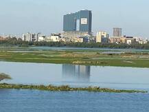 कोरोना वायरस: लॉकडाउन में यमुना नदी के साफ होने के दावे का सच क्या है? जानें