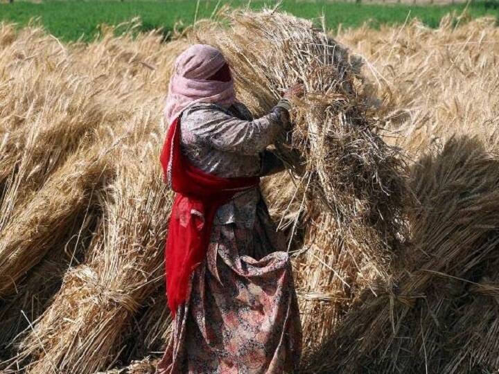 लॉकडाउन में कैसी है किसानों और खेतीहर मज़दूरों की ज़िंदगी?