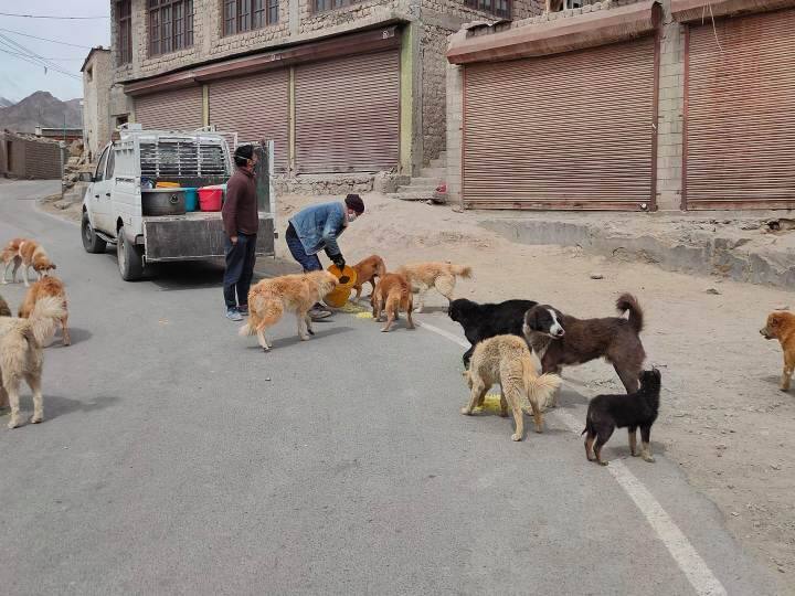 जम्मू-कश्मीर: भूखे जानवरों की मदद के लिए सामने आ रहे हैं लोग, कबूतरों और कुत्तों को खिला रहे हैं खाना Jammu and Kashmir People are coming forward to help hungry animals ANN जम्मू-कश्मीर: भूखे जानवरों की मदद के लिए सामने आ रहे हैं लोग, कबूतरों और कुत्तों को खिला रहे हैं खाना