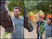 Lockdown के चलते फार्म में फंसे हैं सलमान खान, घोड़े के साथ पत्ते खाते हुए VIDEO हो रहा वायरल
