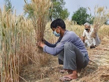 किसान आंदोलन के बीच हुआ रबी सीजन के लिए MSP का एलान, गेहूं का एमएसपी 50 रुपये प्रति क्विंटल बढ़ाया गया