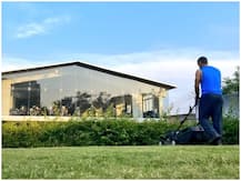 धोनी करेंगे कड़कनाथ मुर्गे की फार्मिंग, 2000 चूजों का दिया आर्डर, अब रांची में मिलेगा झाबुआ का मशहूर मुर्गा