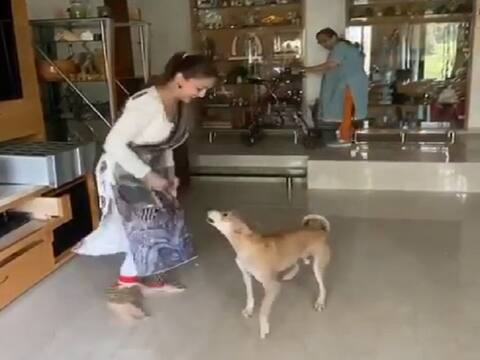 Lockdown के बीच माधुरी दीक्षित ने किया अपने डॉगी के साथ डांस, VIDEO हो रहा वायरल Lockdown के बीच माधुरी दीक्षित ने किया अपने डॉगी के साथ डांस, VIDEO हो रहा वायरल