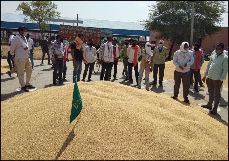 राजस्थान: कृषि उपज मंडी में उड़ी लॉकडाउन की धज्जियां, बिना मास्क दिखे किसान, सोशल डिस्टेंसिंग का भी नहीं हुआ पालन