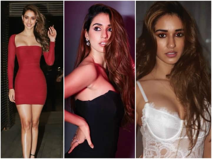 malang actress disha patani spending time with special friend Coronavirus lockdown Lockdown में इस खास दोस्त के साथ समय बिता रहीं Disha Patani, फोटो हो रहा वायरल