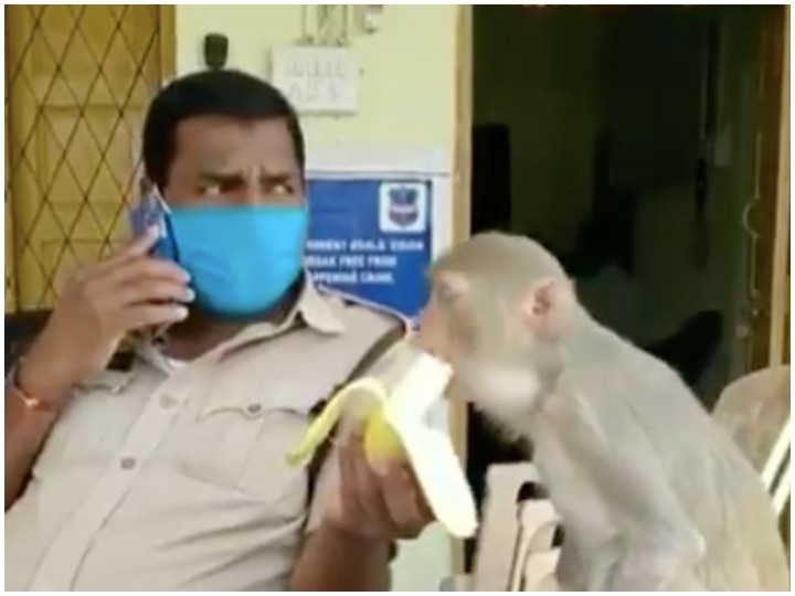 Lockdown Video of policeman feeding banana to a monkey with no hands viral Lockdown: बिना हाथ वाले बंदर को केला खिलाते हुए पुलिसकर्मी का वीडियो वायरल, आप भी देखें