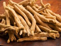 इन लोगों को नहीं करना चाहिए अश्वगंधा का सेवन, हो सकता है नुकसान