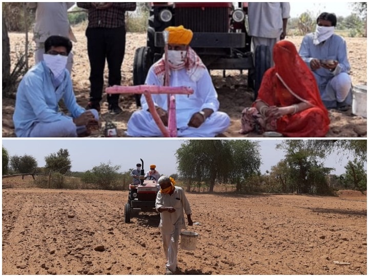 Rajasthan: This centuries-old tradition related to agriculture still continues in the fast changing times ANN राजस्थान: तेजी से बदलते दौर में आज भी कायम है खेती से जुड़ी ये सदियों पुरानी परंपरा