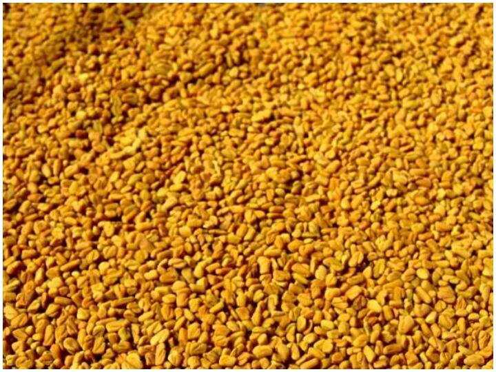 मेथी के इस्तेमाल से बालों को घना और चमकदार बनाएं, ये है तरीका Make hair thick and shiny using fenugreek seeds this is the way मेथी के इस्तेमाल से बालों को घना और चमकदार बनाएं, ये है तरीका