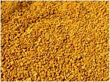 मेथी के इस्तेमाल से बालों को घना और चमकदार बनाएं, ये है तरीका