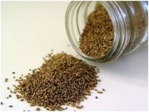 पेट से जुड़ी बीमारियों के लिए रामबाण है अजवाइन, जानिए क्या हैं इसके फायदे