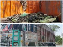 मुंबई: सब्जी के ट्रक में हो रही थी गुटखे की तस्करी, हादसा हुआ तो सामने आई सच्चाई