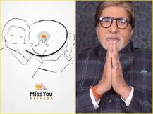 ऋषि कपूर से कभी अस्पताल में मिलने नहीं गए थे अमिताभ बच्चन, मुस्कुराते चेहरे पर नहीं देखना चाहते थे दर्द