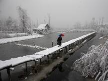 जम्मू-कश्मीर के तीन फोटो पत्रकारों को मिला पुलित्जर पुरस्कार