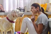 IN PICS : विराट कोहली के कुत्ते की मौत से दुखीं हैं अनुष्का शर्मा, शेयर की ये तस्वीर