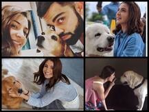 IN PICS : विराट कोहली के कुत्ते की मौत से दुखीं हैं अनुष्का शर्मा, शेयर की ये तस्वीर