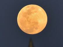 Super Moon 2020: वॉर्म मून, पिंक मून के बाद अब 7 मई को फ्लॉवर मून देखने के लिए रहें तैयार, ऐसा दिखेगा चांद