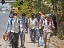 रिपोर्ताज: जिंदगी की दो विरोधाभासी तस्वीरें दिखाता मुंबई-नासिक हाईवे, घर लौटते मज़दूर और मजबूर किसान