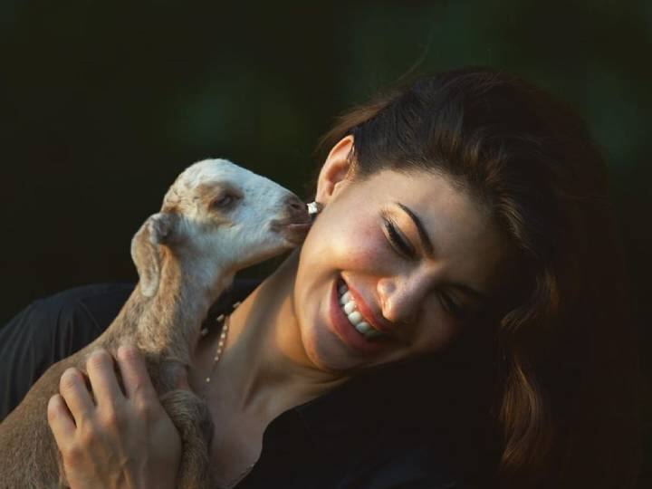 Jacqueline Fernandez Make A short film Video shared on social media लॉकडाउन में एक्ट्रेस जैकलीन फर्नांडीज ने बनाई शॉर्ट फिल्म, सोशल मीडिया पर शेयर किया वीडियो