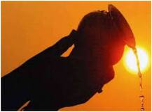 जानें कब है वृषभ संक्रांति ? क्यों मनाई जाती है और क्या है इसका महत्व