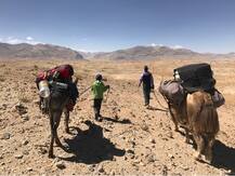 21 हजार किलोमीटर की यात्रा पर निकले पत्रकार ने लिखा- चलना दुनिया में खुद को खोजने की प्रक्रिया है