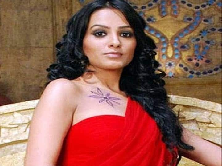 एकता कपूर के सीरियल 'कहानियां हमारे महाभारत की' में एक्ट्रेस अनीता हसनंदानी ने द्रौपदी का किरदार अदा किया. इस शो में सभी कलाकारों का लुक काफी अलग था. शो में द्रौपदी कंधे के पर टैटू दिखाया गया था. इस शो की टीआरपी ज्यादा अच्छी नहीं रही थी.