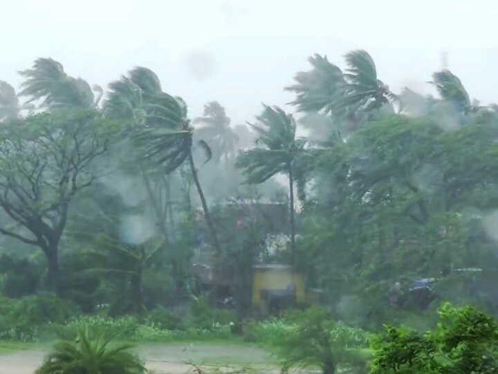 10 to 12 people killed in Bengal-Odisha due to Cyclone Amfan बंगाल-ओडिशा में चक्रवाती तूफान उम्पुन का कोहराम, ममता बनर्जी ने कहा- 10 से 12 लोगों की मौत