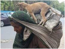 इंटरनेट पर मजदूर की तस्वीर वायरल, मुसीबत के दौर में पशु प्रेम देख भाव विभोर हुए लोग