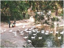 दिल्ली में आज से खोले गए पार्क, नियम और शर्तों के साथ पार्कों में आने की मिली इजाजत