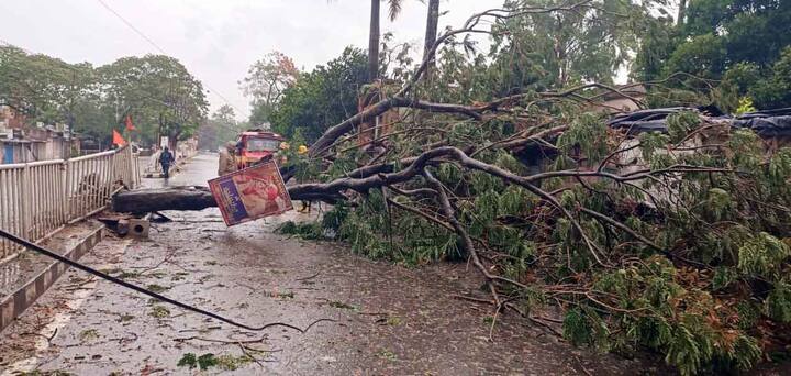 पश्चिम बंगाल के उत्तर 24 परगना जिले में एक पुरुष और एक महिला के ऊपर पेड़ गिर जाने से उनकी मौत हो गई. इसके अलावा हावड़ा में भी इसी प्रकार की घटना में 13 वर्षीय बच्ची की मौत हो गई. करंट लगने के कारण हुगली और उत्तर 24 परगना जिलों में तीन लोगों की मौत हो गई. अधिकारियों ने बताया कि कोलकाता के रीजेंट उद्यान क्षेत्र में एक महिला और उसके सात वर्षीय बेटे पर पेड़ गिर जाने से उनकी मौत हो गई.