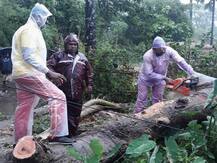 In Pics: उम्पुन तूफान ने बंगाल-ओडिशा में जमकर मचाई तबाही, कारें पलटी, पेड़ गिरे, बिजली-पानी की सप्लाई प्रभावित