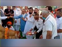 हरियाणा: BJP विधायक ने उड़ाई लॉकडाउन नियमों कि धज्जियां, गोशाला उद्घाटन के लिए जुटी भीड़