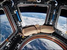 Twitter ने NASA से पूछा- ऊपर WiFi कैसा चल रहा है, जानिए क्या मिला जवाब