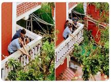 क्या अब आईसीसी के चेयरमैन बनने की तैयारी कर रहे हैं सौरव गांगुली? इस दिग्गज खिलाड़ी ने किया इशारा