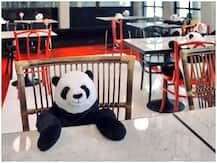 थाईलैंड: रेस्टोरेंट ने सोशल डिस्टेंसिंग के लिए उठाया ये अनूठा कदम, जानें ऐसा क्या किया है