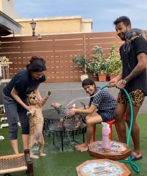 नताशा और हार्दिक दोनों की Pet लवर्स हैं. और दोनों ही अपने कुत्तों से साथ खूब मस्ती करते हैं. 