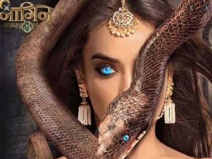 This actress from 'Naagin 3' will participate in Laggy Bigg Boss 14? Makers assembly is in talks 'नागिन 3' की ये अभिनेत्री लेंगी बिग बॉस 14 में हिस्सा? मेकर्स संग चल रही है बातचीत