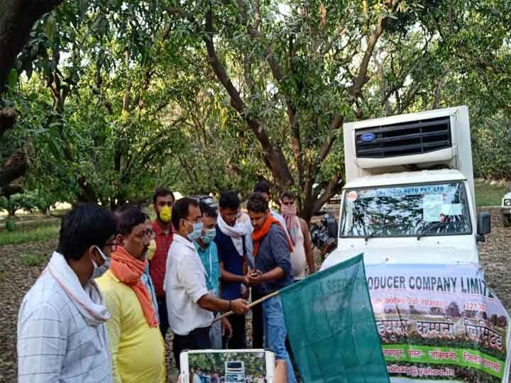 Banarasi mango exported to dubai अब विदेशों में भी धूम मचाएगा बनारसी आम, लंगड़ा और दशहरी आम की पहली खेप दुबई रवाना