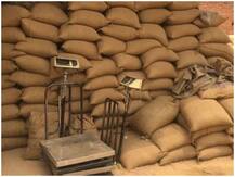 बंपर फसल से खाद्य महंगाई में आएगी कमी, अनाज-तिलहन और दलहन के दाम में आएगी 15 फीसदी तक गिरावट