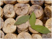 Health Tips: अंजीर का इस्तेमाल करके स्किन पर आ सकती है चमक, जानें अंजीर के ये खास गुण