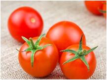 Health Tips: जानिए- क्या टमाटर को फ्रिज में स्टोर करना चाहिए या नहीं?