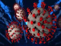 Covid-19: आखिर बुलंदशहर में क्यों वितरित किए जा रहे हैं होम्योपैथिक दवाई के ड्रॉप्स