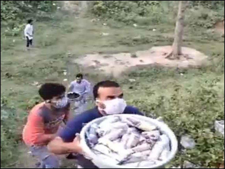 People of Bihar won heart of CM of Mizoram by giving food to the passengers of shramik trains श्रमिक ट्रेन के यात्रियों को खाना देते बिहार के लोगों ने जीता मिजोरम के CM का दिल, वीडियो शेयर कर कही यह बात