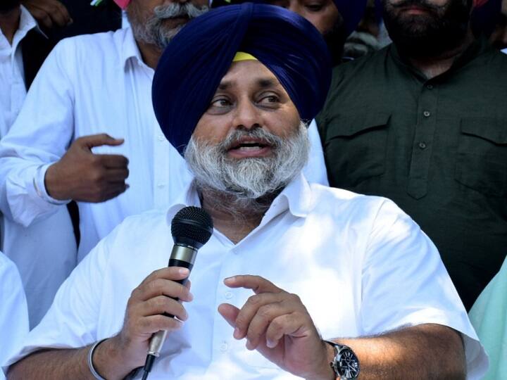 Punjab: Shiromani Akali Dal demands CBI or judicial enquiry into seeds scam पंजाब: करोड़ों का हो सकता है बीज घोटाला, शिरोमणि अकाली ने कहा-सीबीआई या न्यायिक जांच हो