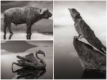 दुनिया के इस देश में है एक ऐसी झील जिसमें जो भी गया बन गया 'पत्थर'