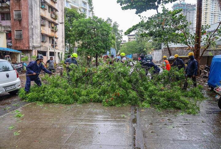 इस तूफान की वजह से कई इलाकों में भारी मात्रा में पुराने पेड़ गिर गए हैं. सड़कों पर पेड़ गिरने से कई गाड़ियां भी इसकी चपेट में आईं हैं.