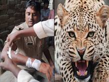 बहराइच में तेंदुए के आतंक से दहशत, हमले में दारोगा समेत 6 लोग घायल